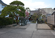 城東動物霊園　近景